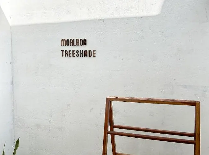 Treeshade & Moalboal
